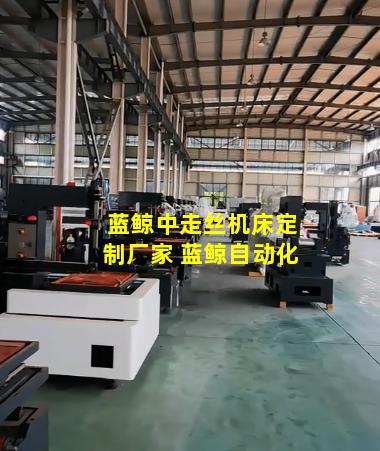 蓝鲸中走丝机床定制厂家 蓝鲸自动化